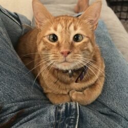 WhatsApp Image 2026-01-26 at 12.22.45 PM