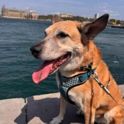 WhatsApp Image 2026-01-26 at 12.26.29 PM (1)