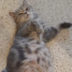 WhatsApp Image 2026-01-26 at 12.32.36 PM