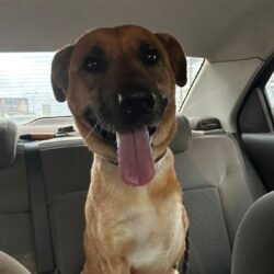 WhatsApp Image 2026-01-26 at 12.36.51 PM