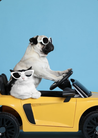 Screenshot 2026-04-06 at 3.02.48 PM